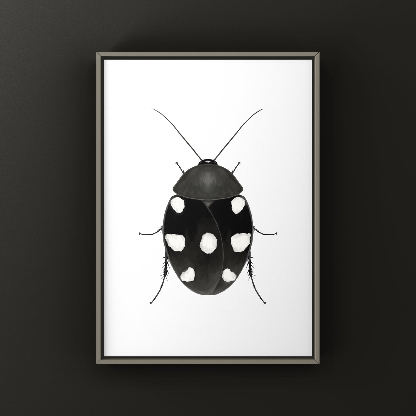 Domino Roach (Therea petiveriana) Photographic Art Print from The Silk Ranch