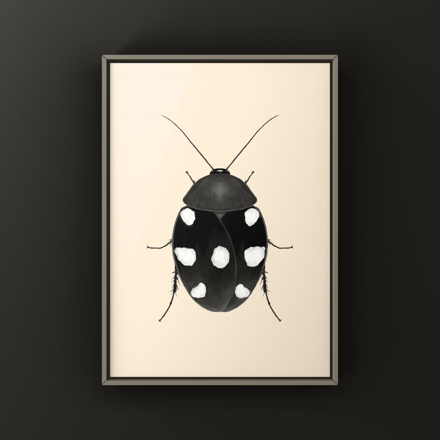 Domino Roach (Therea petiveriana) Photographic Art Print from The Silk Ranch