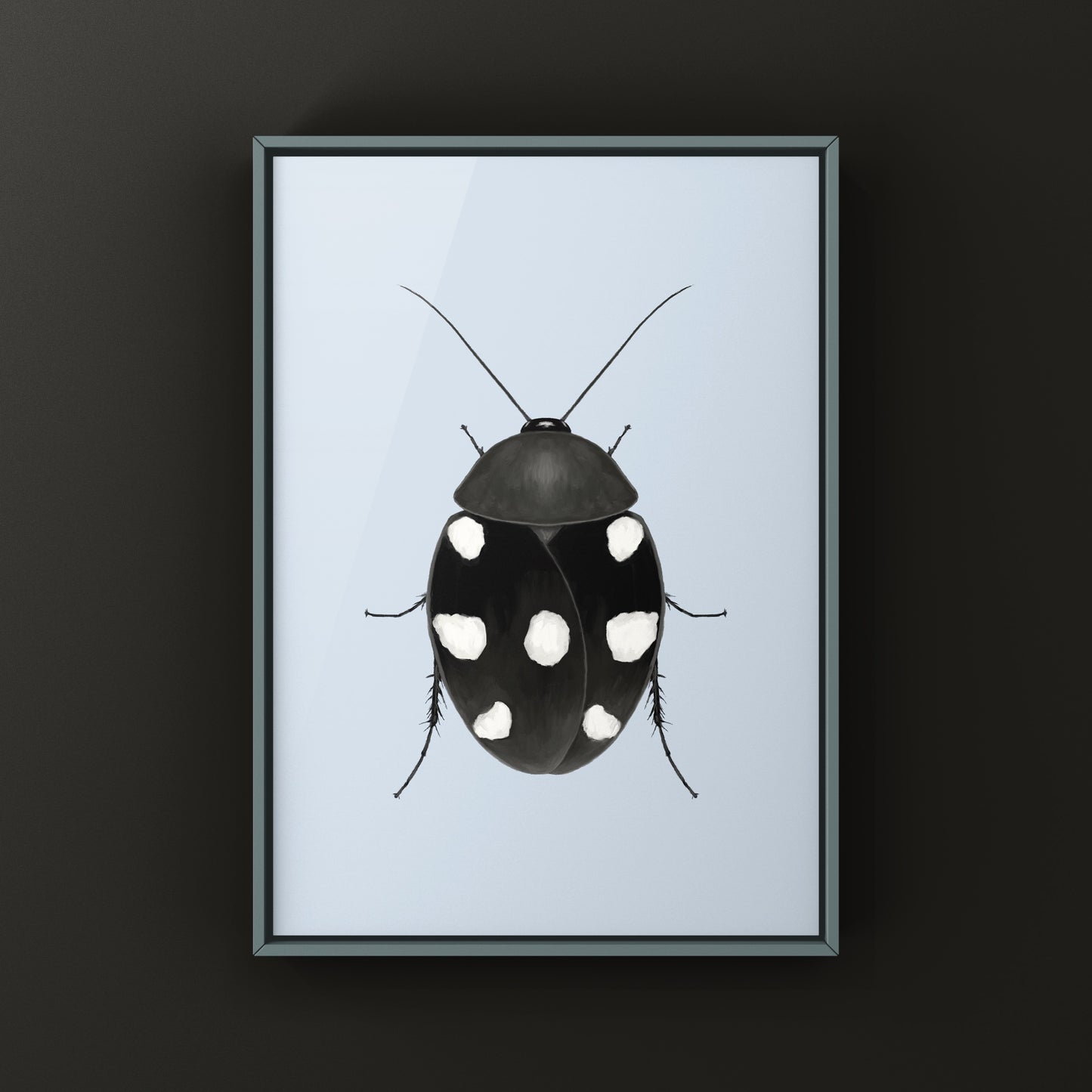 Domino Roach (Therea petiveriana) Photographic Art Print from The Silk Ranch