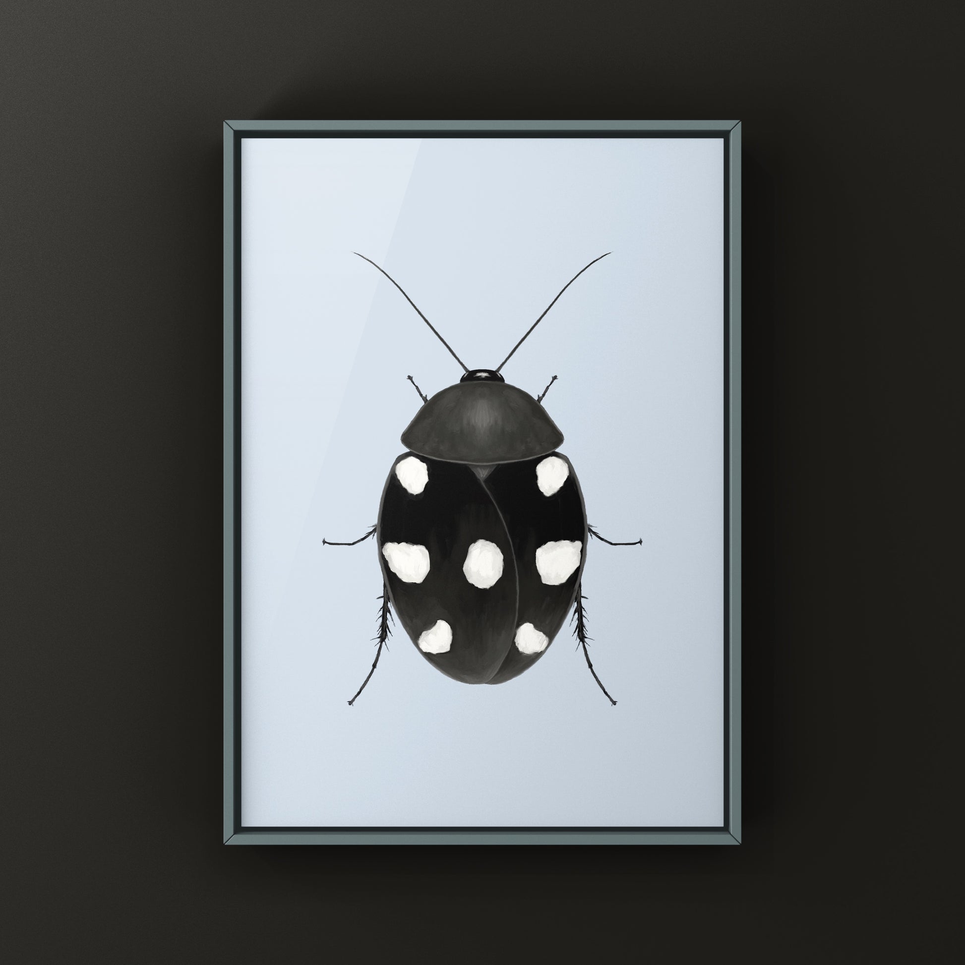 Domino Roach (Therea petiveriana) Photographic Art Print from The Silk Ranch