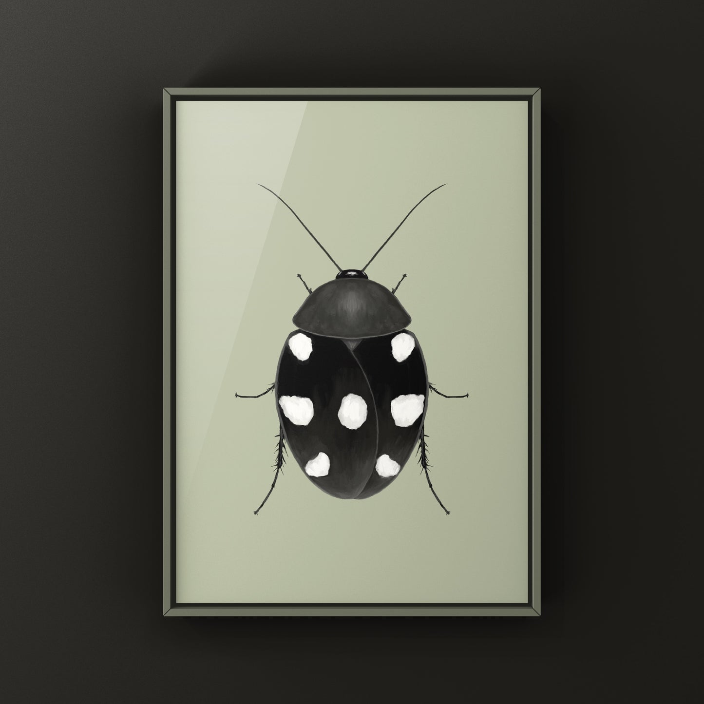 Domino Roach (Therea petiveriana) Photographic Art Print from The Silk Ranch