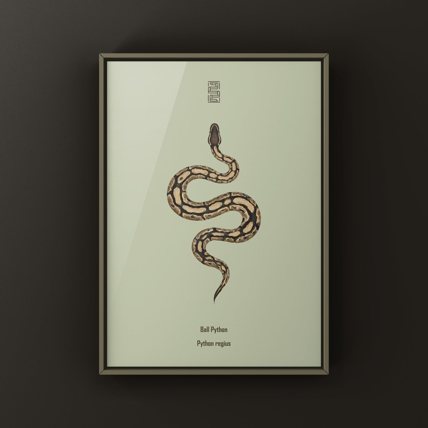Ball Python Art Print from The Silk Ranch