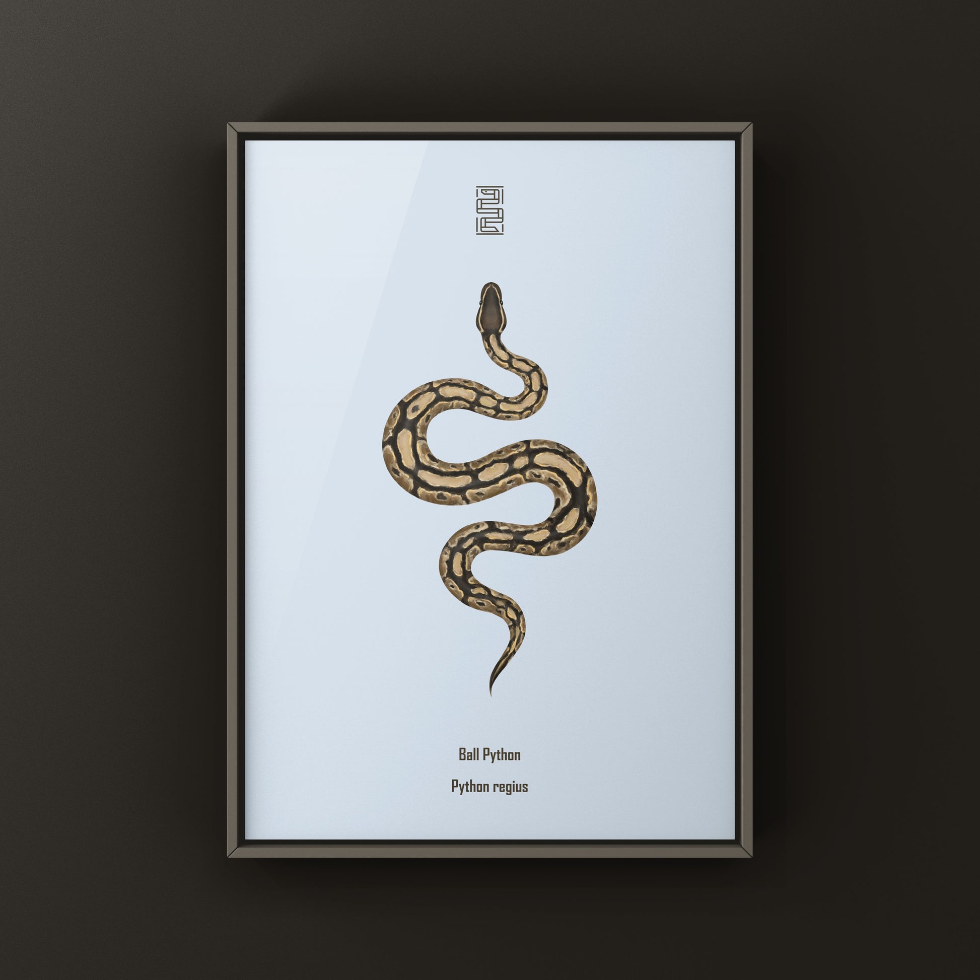 Ball Python Art Print from The Silk Ranch