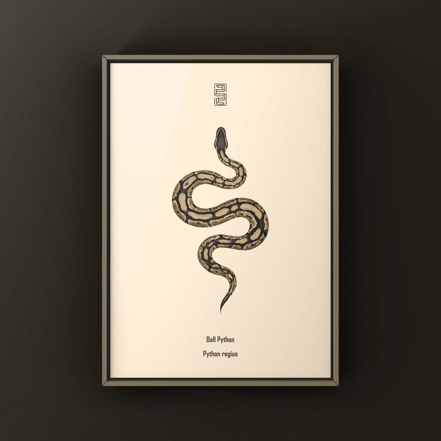 Ball Python Art Print from The Silk Ranch