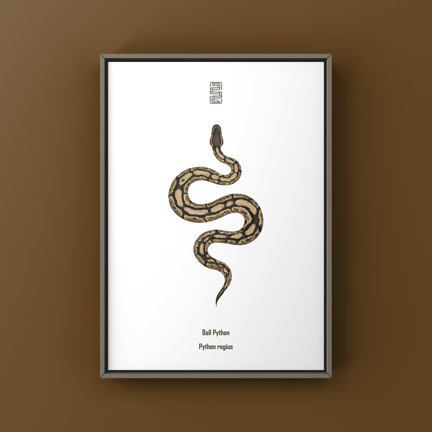 Ball Python Art Print from The Silk Ranch