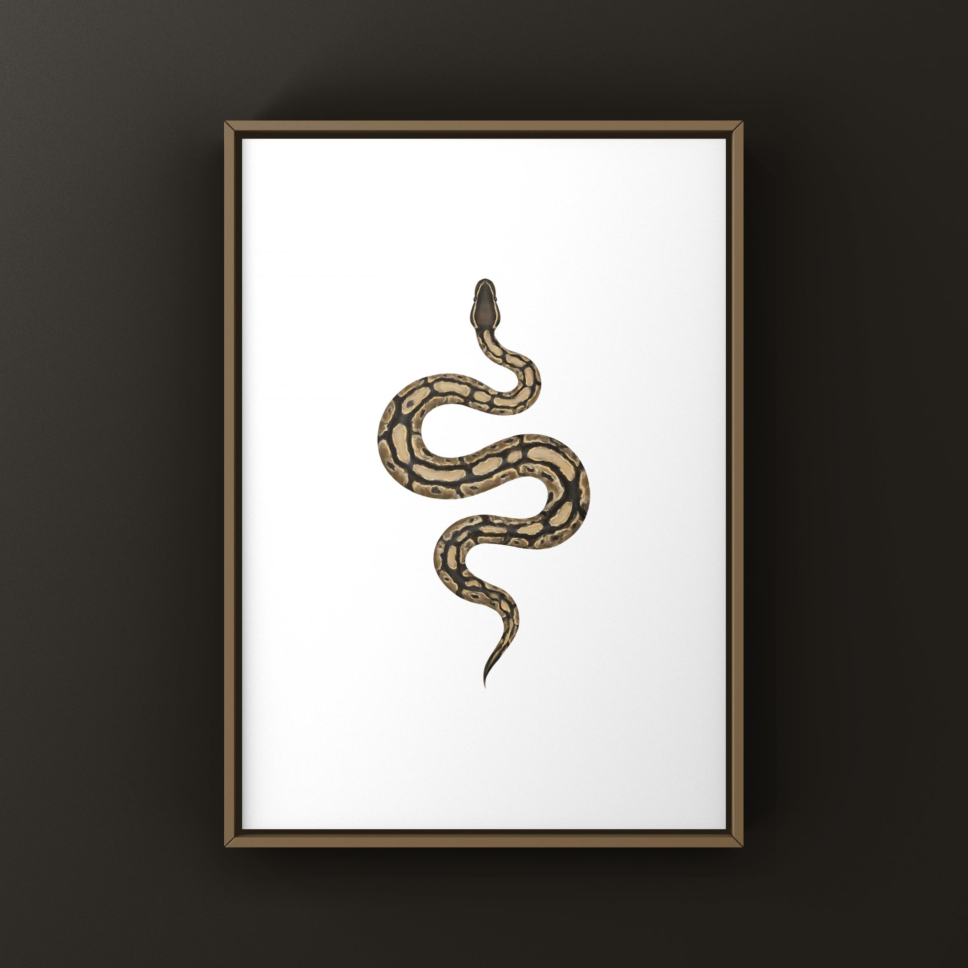 Ball Python Art Print from The Silk Ranch