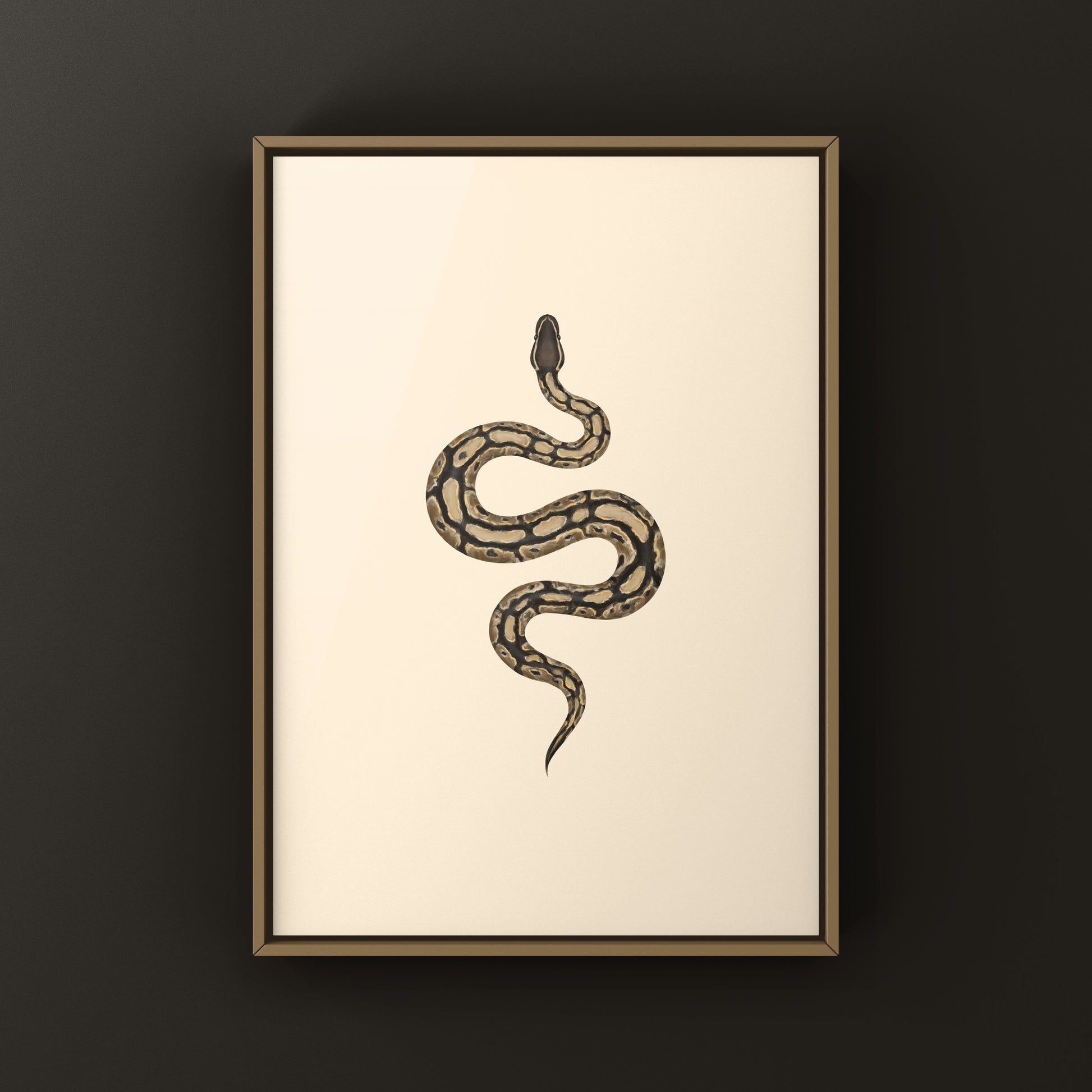 Ball Python Art Print from The Silk Ranch