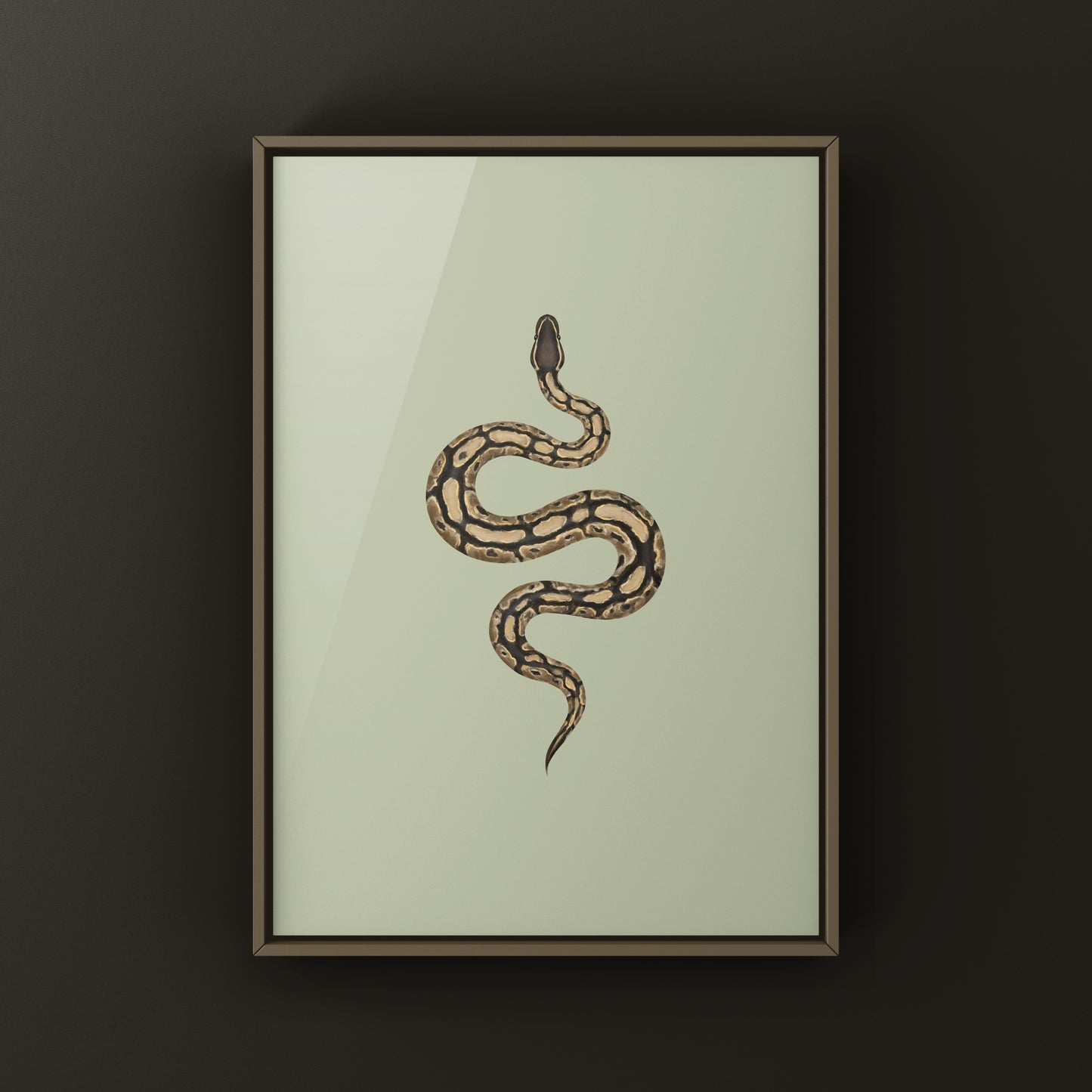 Ball Python Art Print from The Silk Ranch