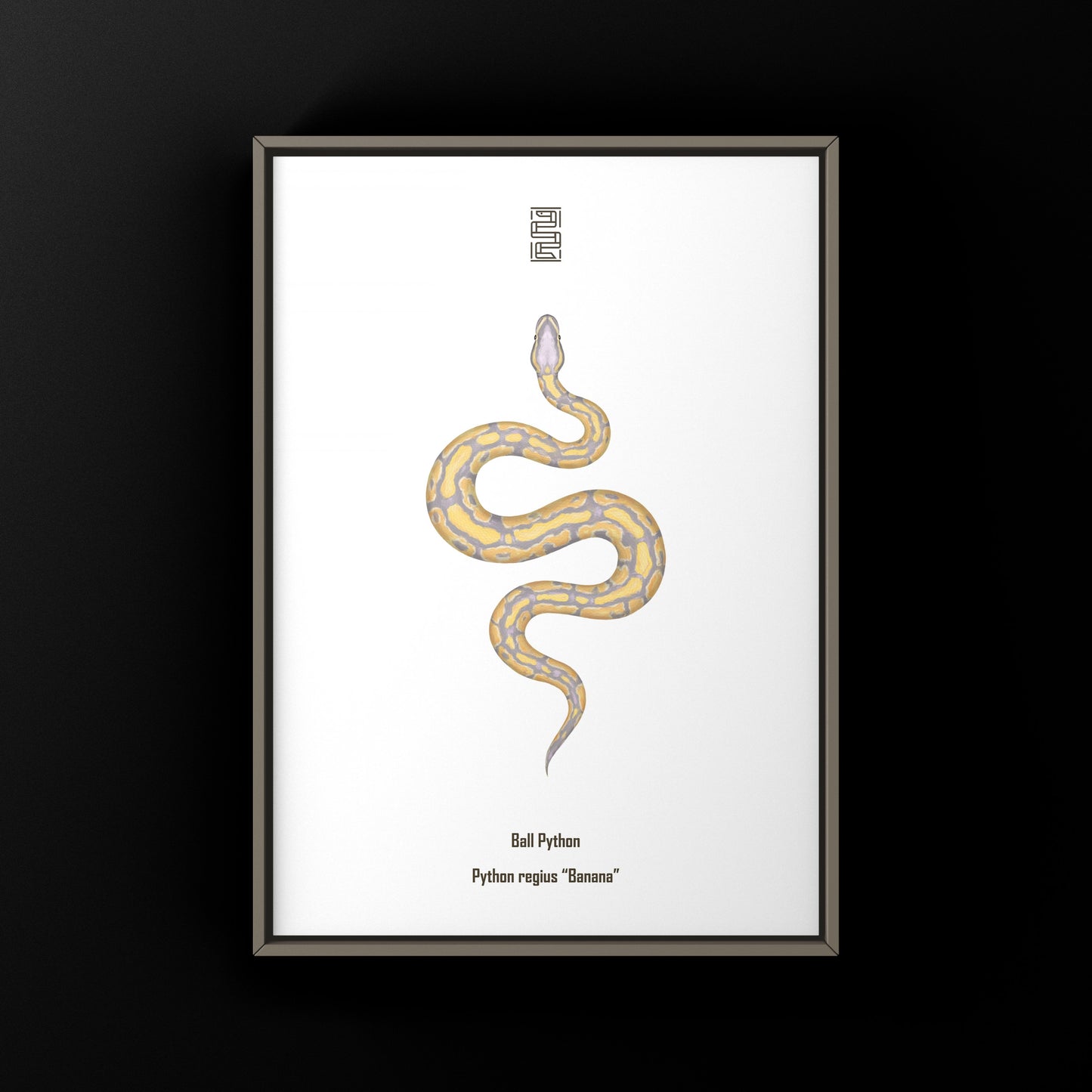 Banana Ball Python Art Print from The Silk Ranch
