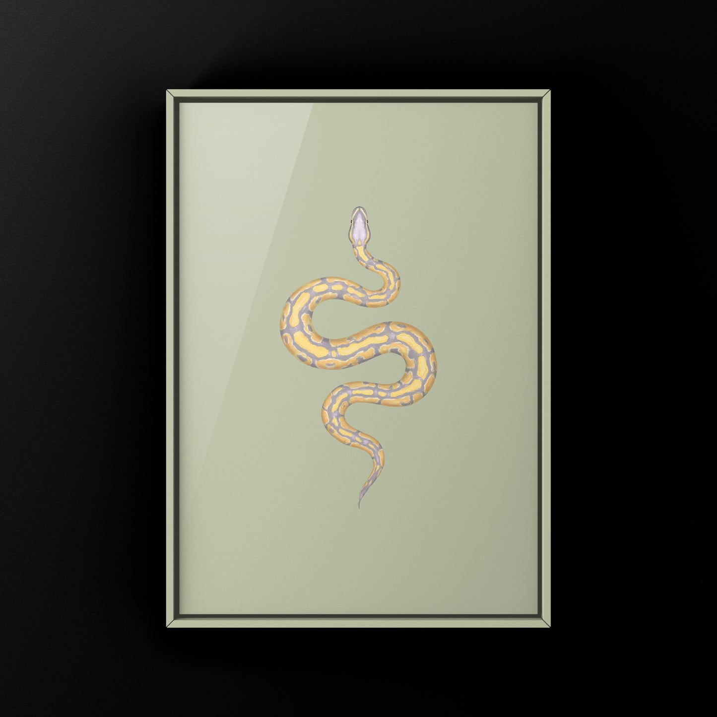 Banana Ball Python Art Print from The Silk Ranch