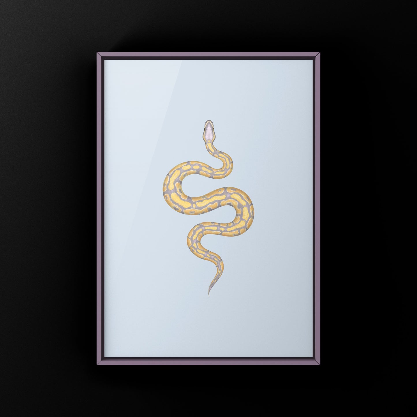 Banana Ball Python Art Print from The Silk Ranch