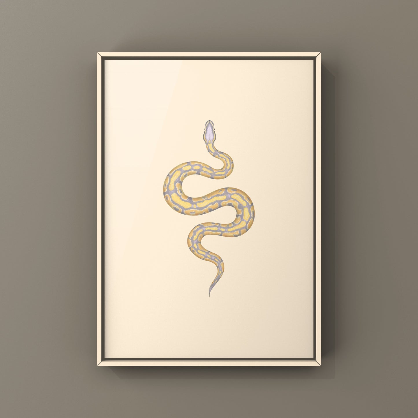 Banana Ball Python Art Print from The Silk Ranch