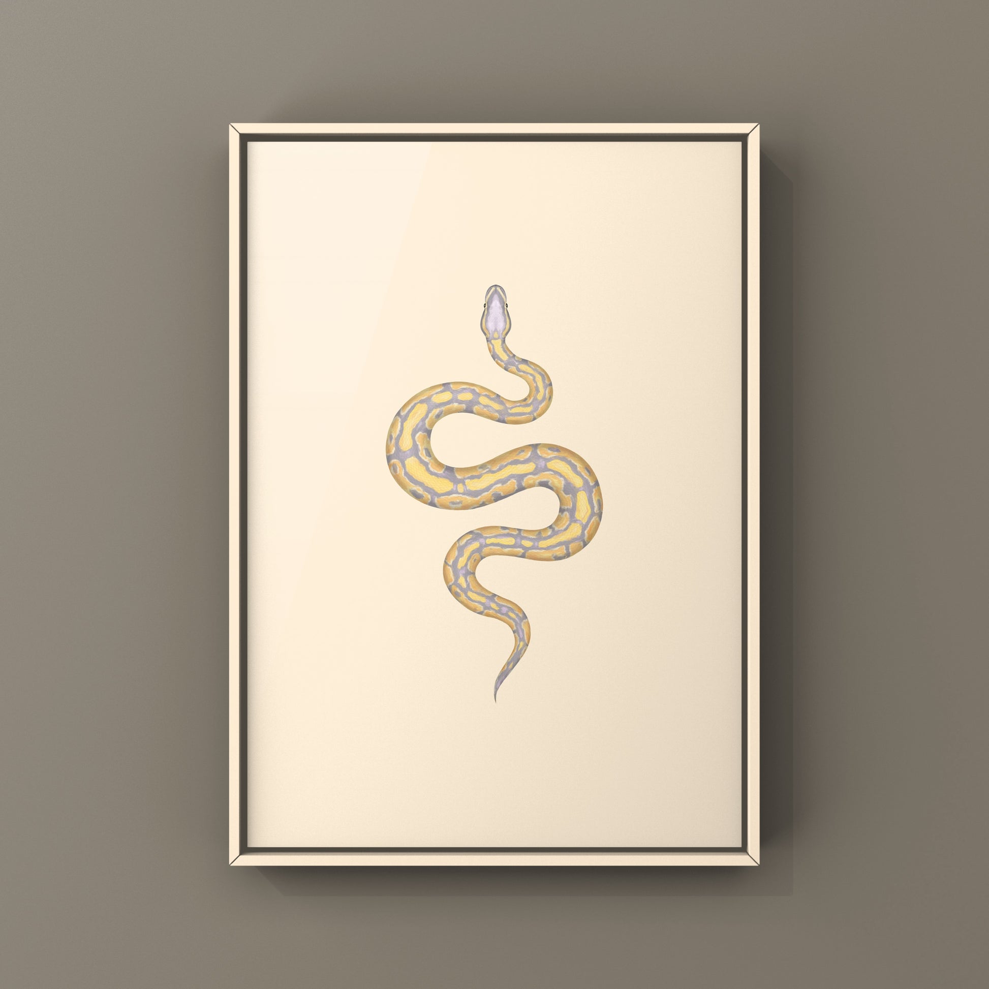 Banana Ball Python Art Print from The Silk Ranch