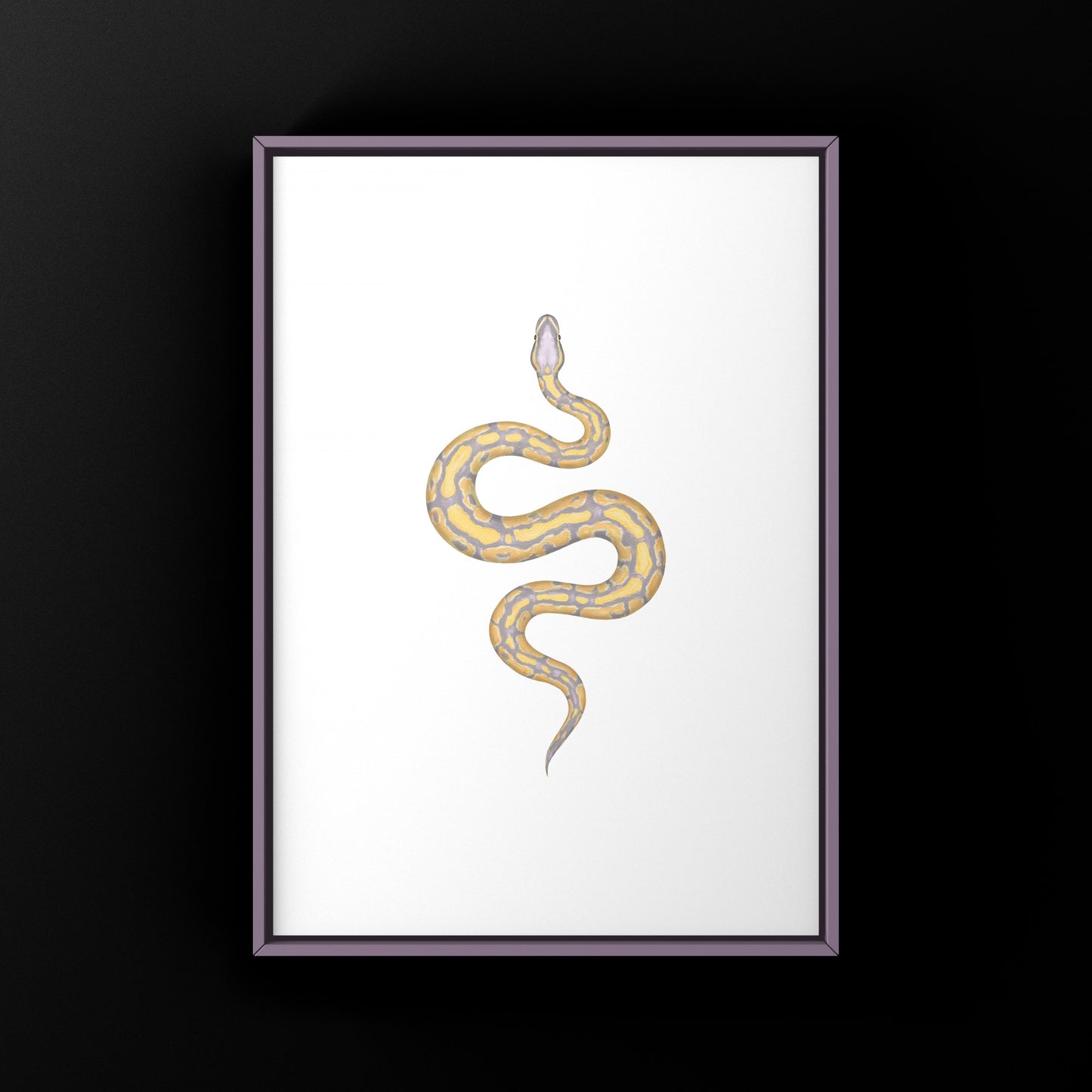 Banana Ball Python Art Print from The Silk Ranch
