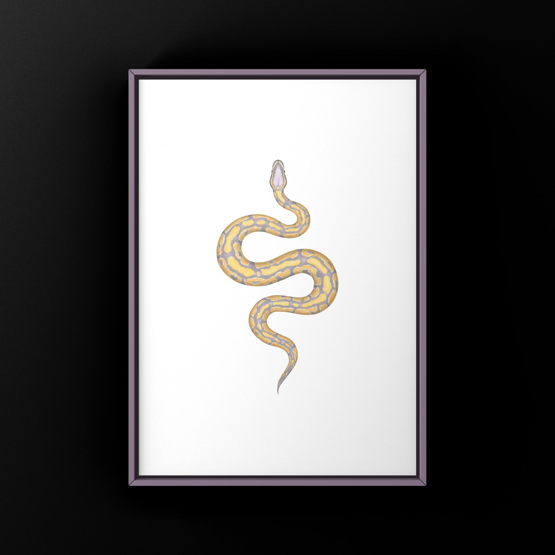 Banana Ball Python Art Print from The Silk Ranch