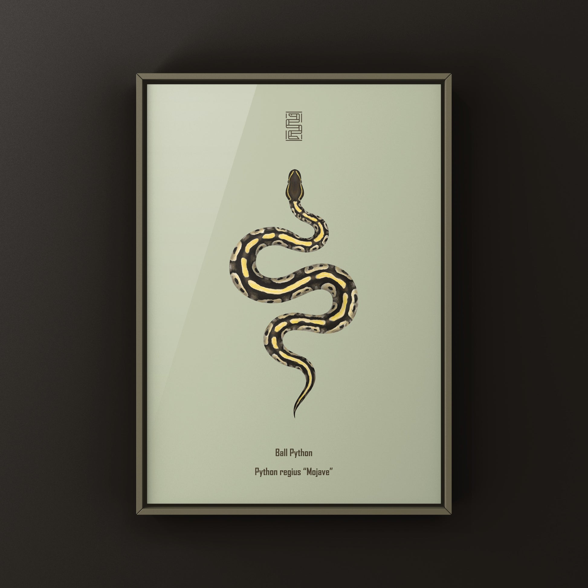 Mojave Ball Python Art Print from The Silk Ranch