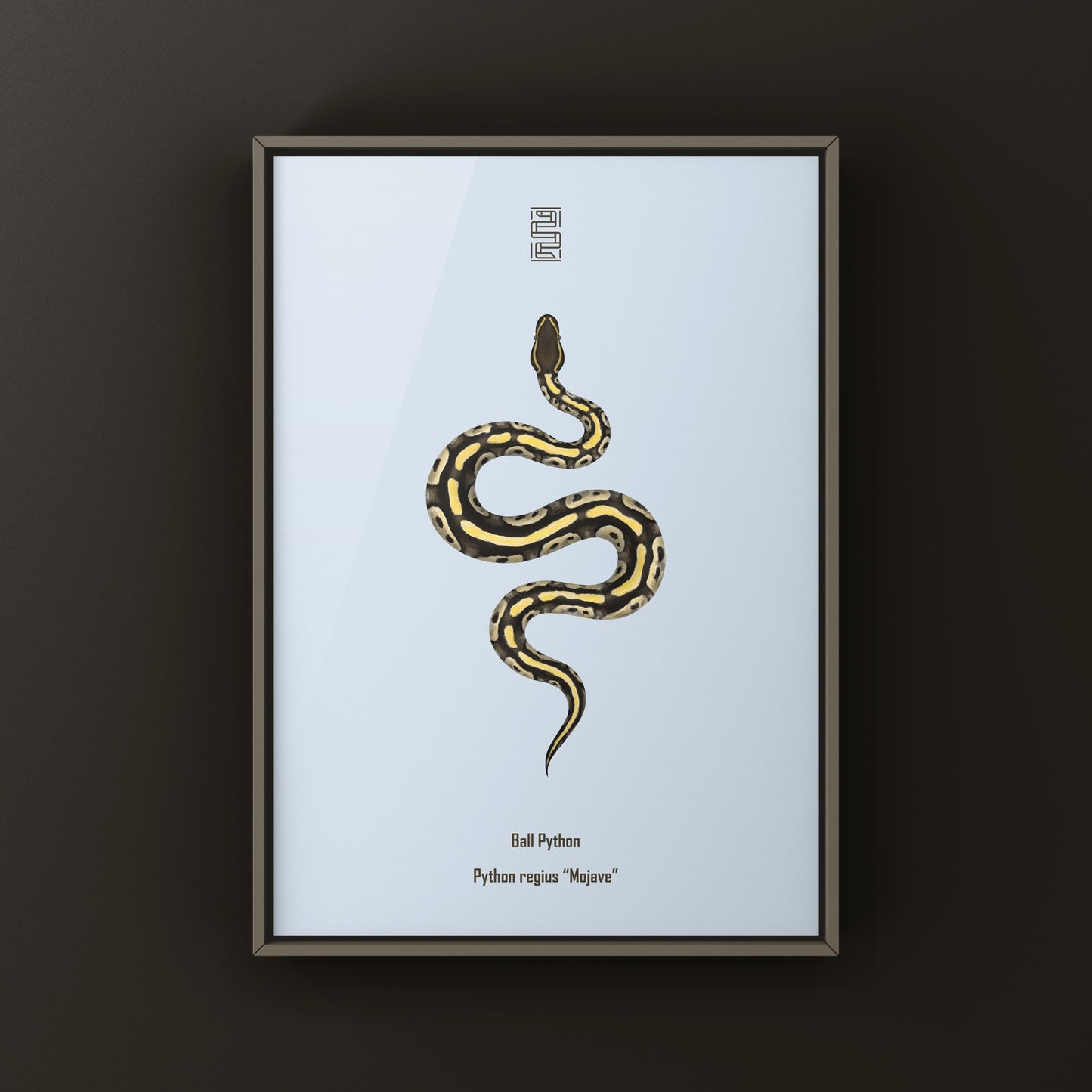 Mojave Ball Python Art Print from The Silk Ranch