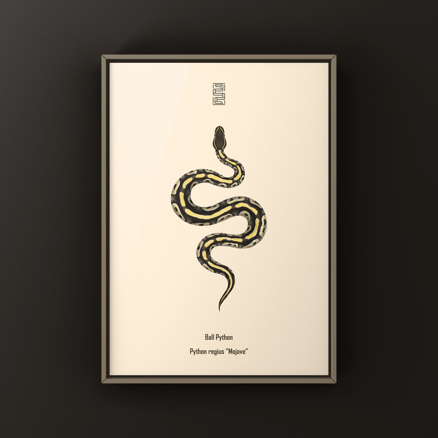 Mojave Ball Python Art Print from The Silk Ranch