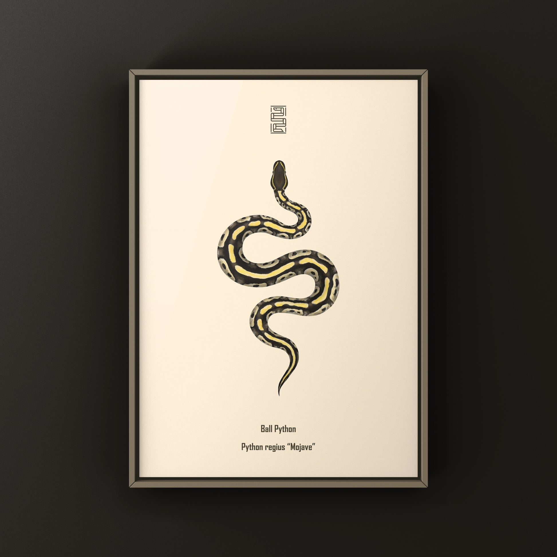 Mojave Ball Python Art Print from The Silk Ranch