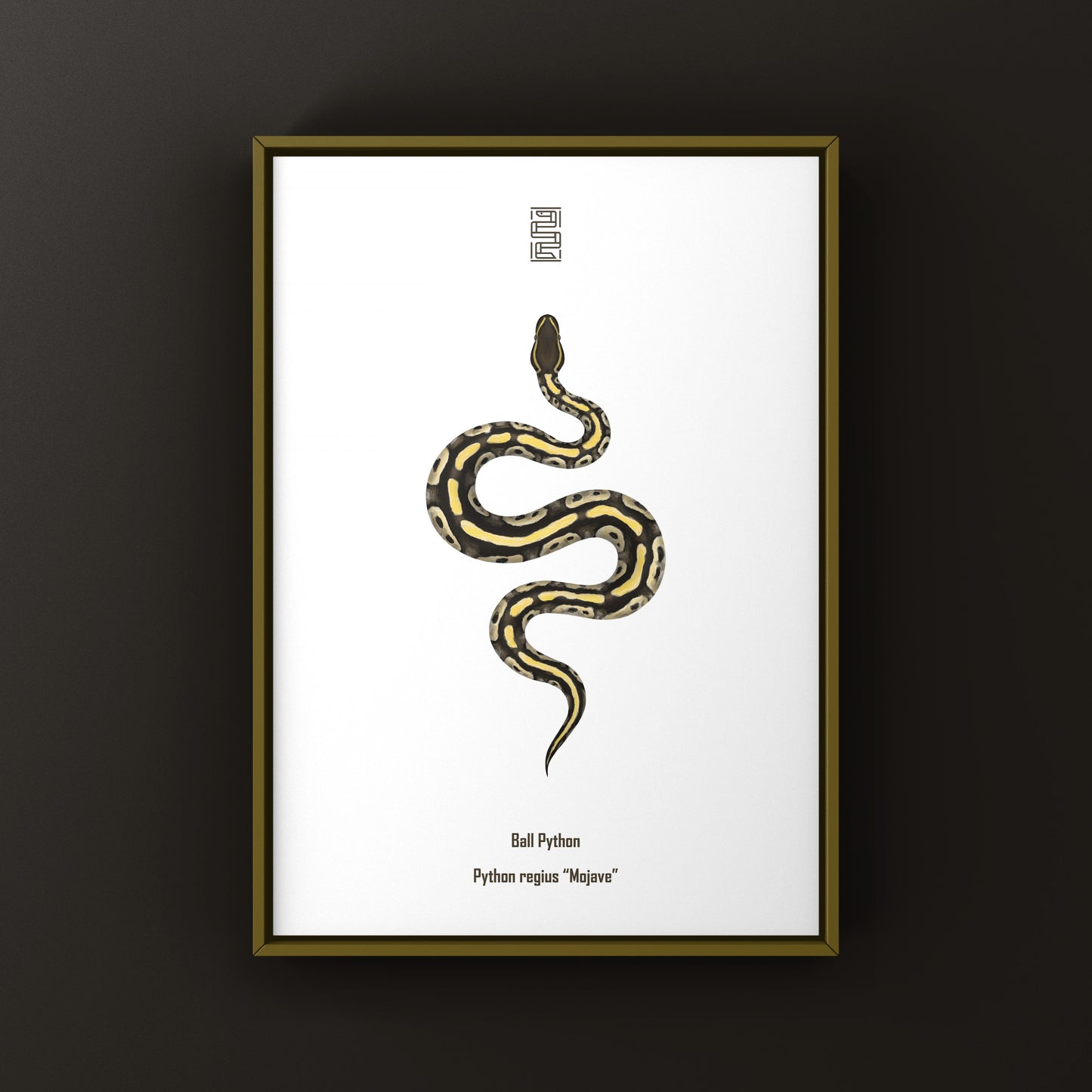 Mojave Ball Python Art Print from The Silk Ranch