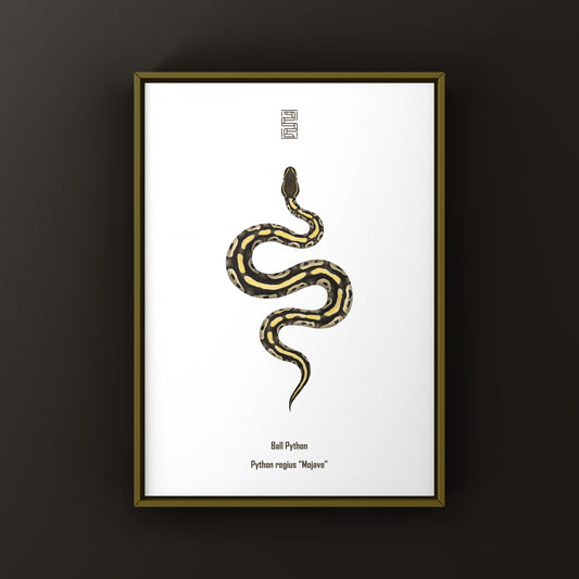 Mojave Ball Python Art Print from The Silk Ranch