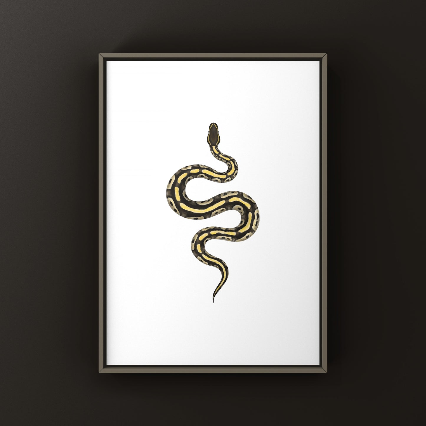Mojave Ball Python Art Print from The Silk Ranch