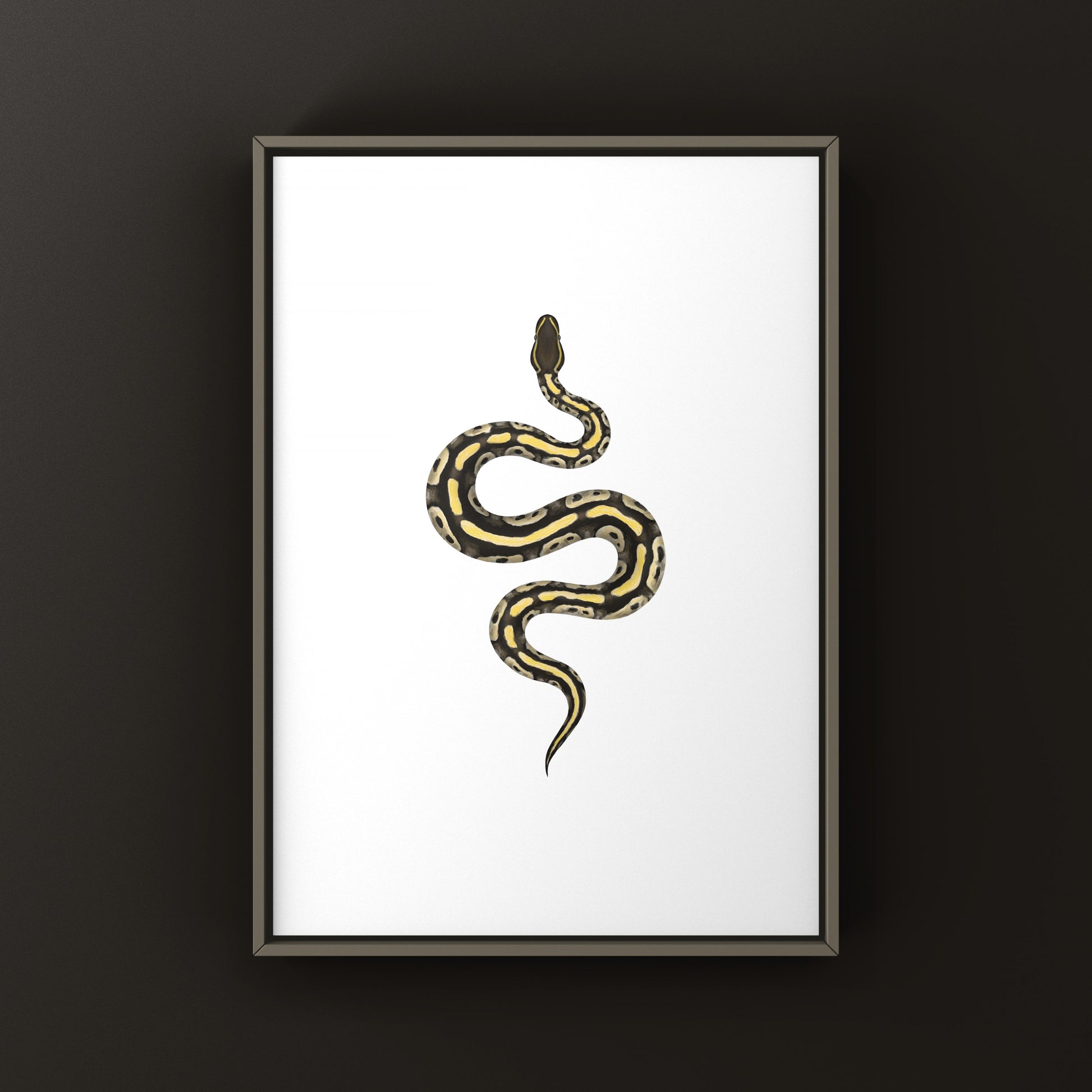 Mojave Ball Python Art Print from The Silk Ranch