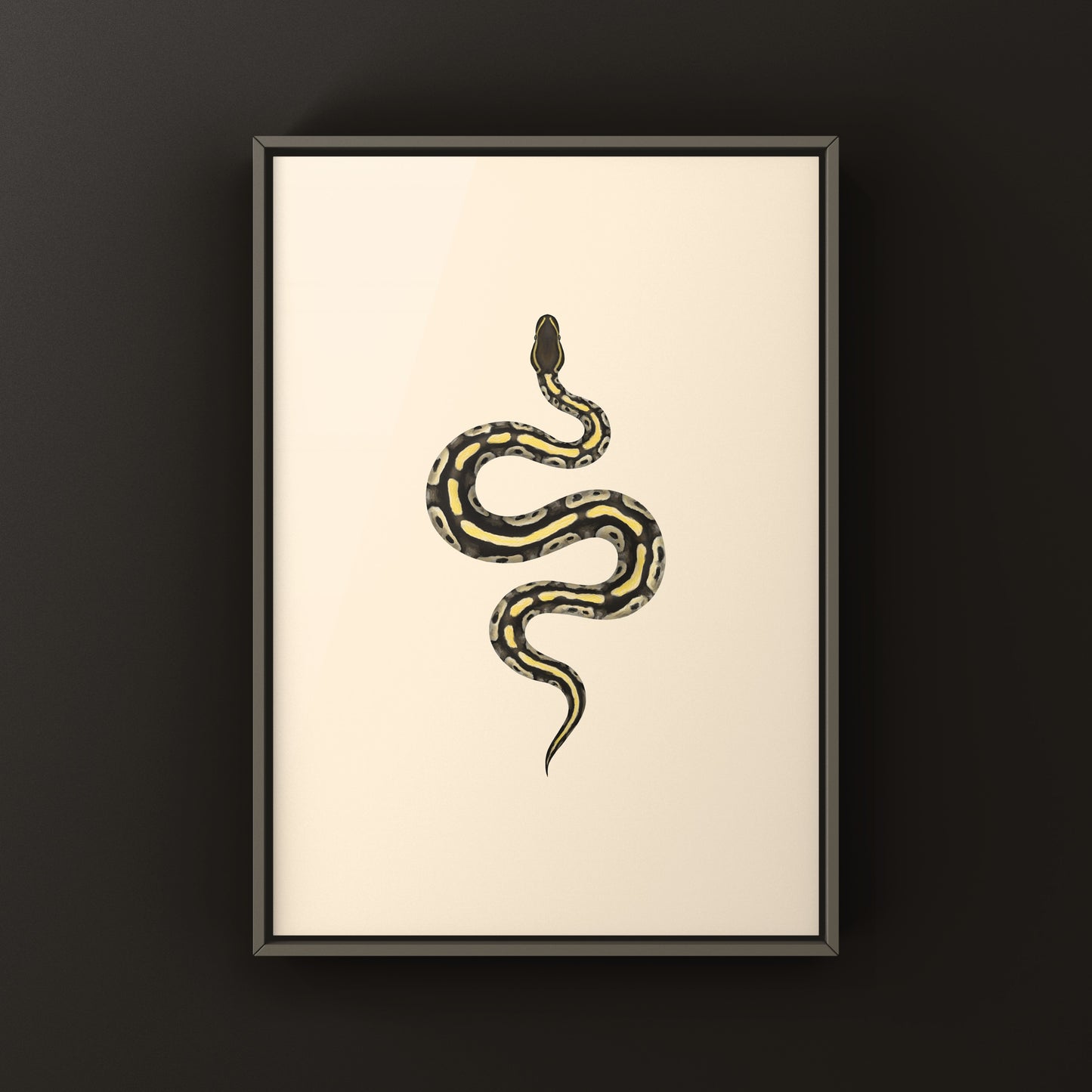 Mojave Ball Python Art Print from The Silk Ranch