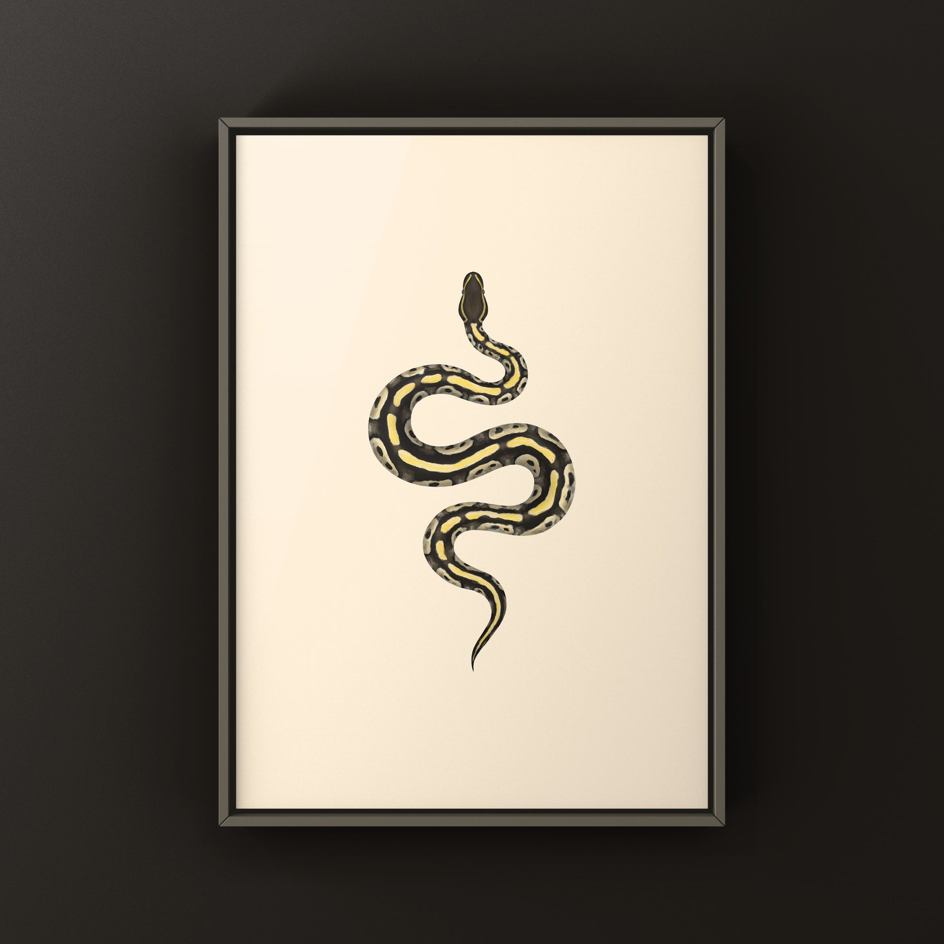 Mojave Ball Python Art Print from The Silk Ranch