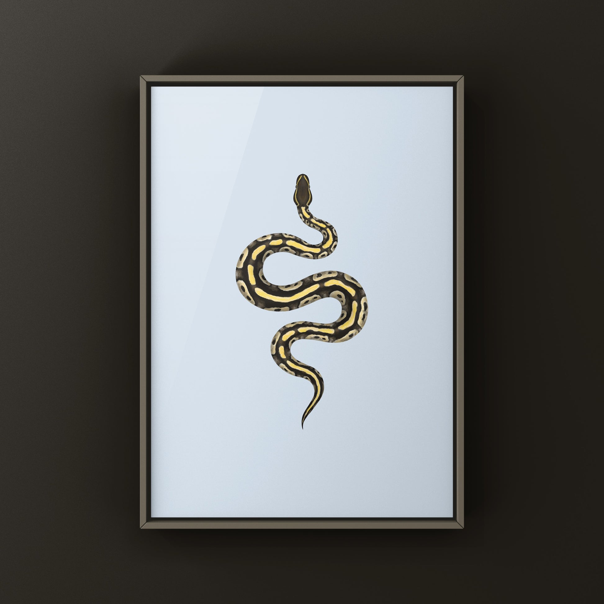 Mojave Ball Python Art Print from The Silk Ranch