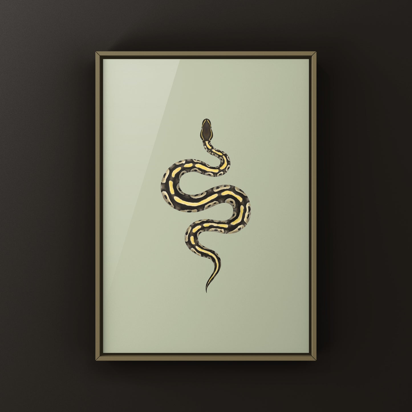Mojave Ball Python Art Print from The Silk Ranch