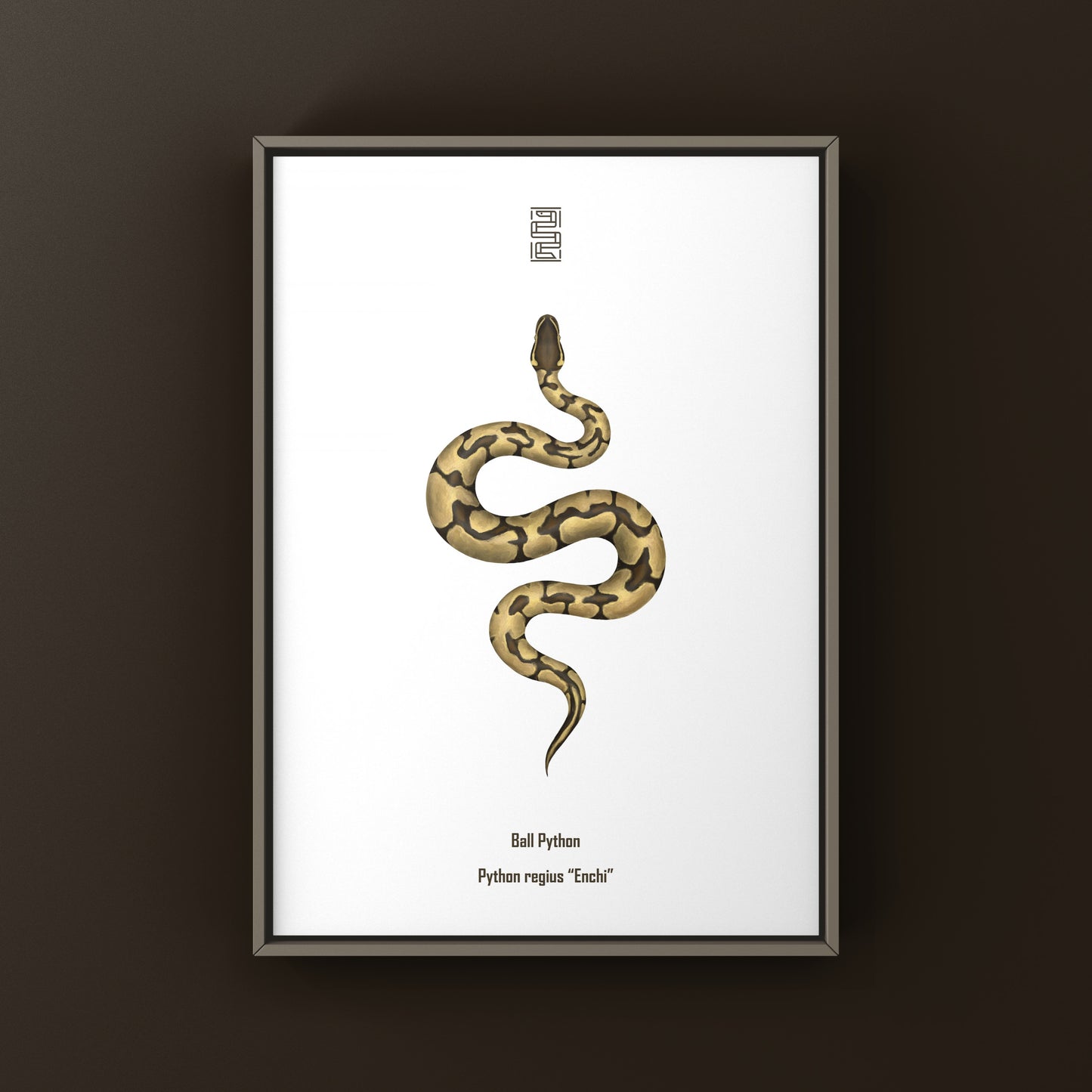Enchi Ball Python Art Print from The Silk Ranch