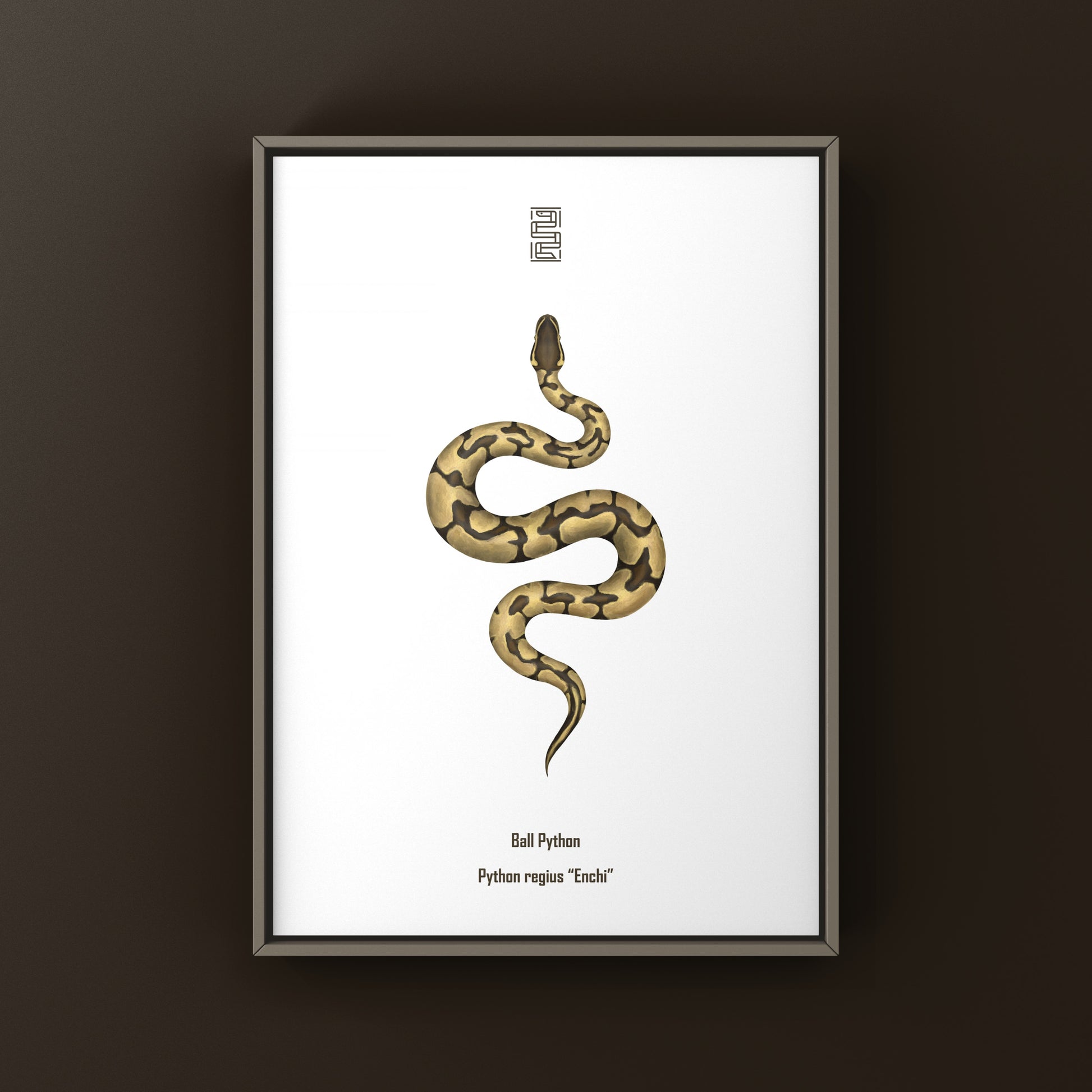 Enchi Ball Python Art Print from The Silk Ranch