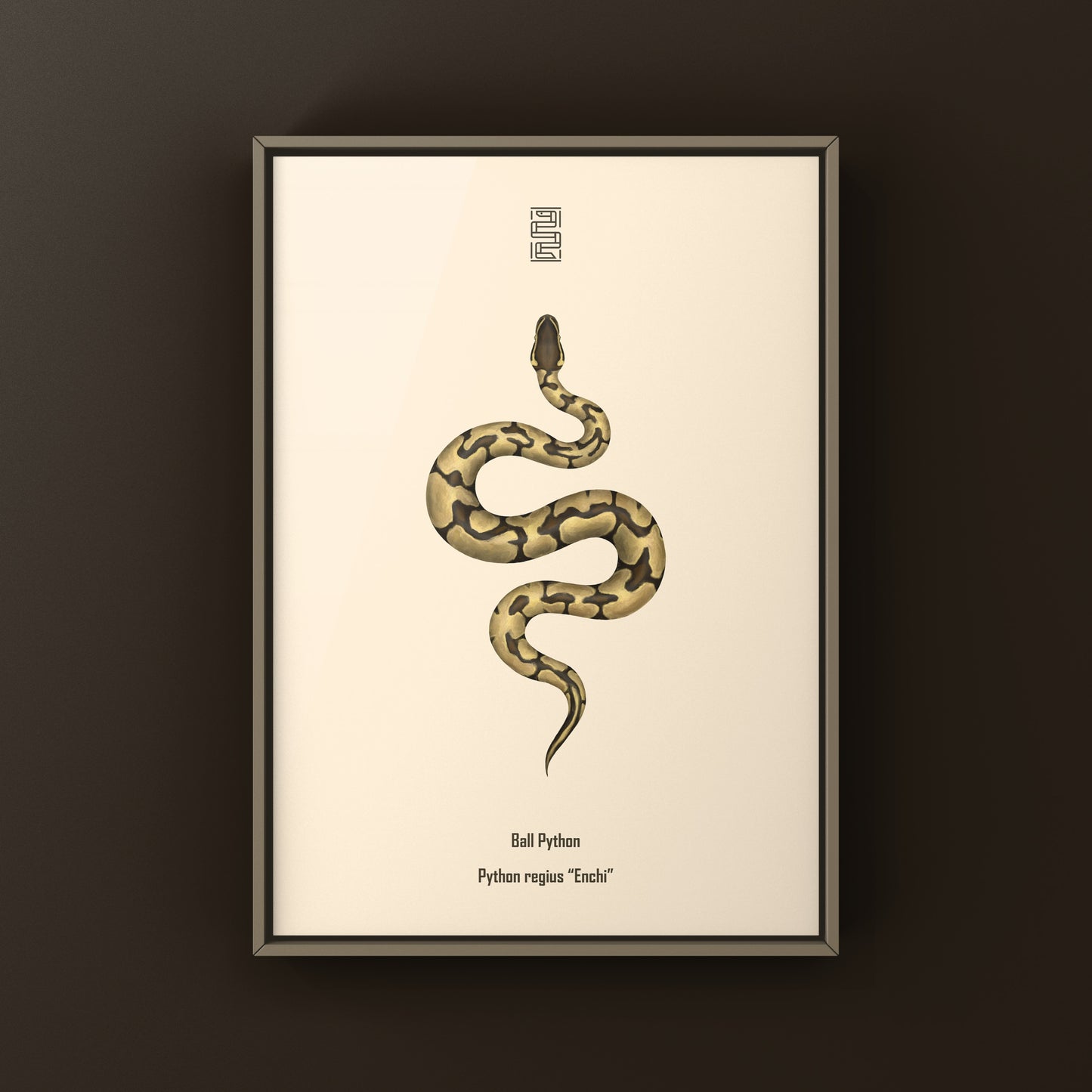 Enchi Ball Python Art Print from The Silk Ranch