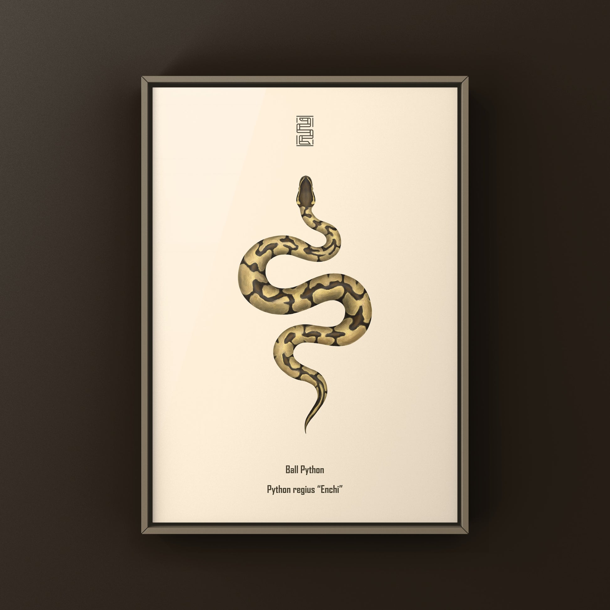 Enchi Ball Python Art Print from The Silk Ranch