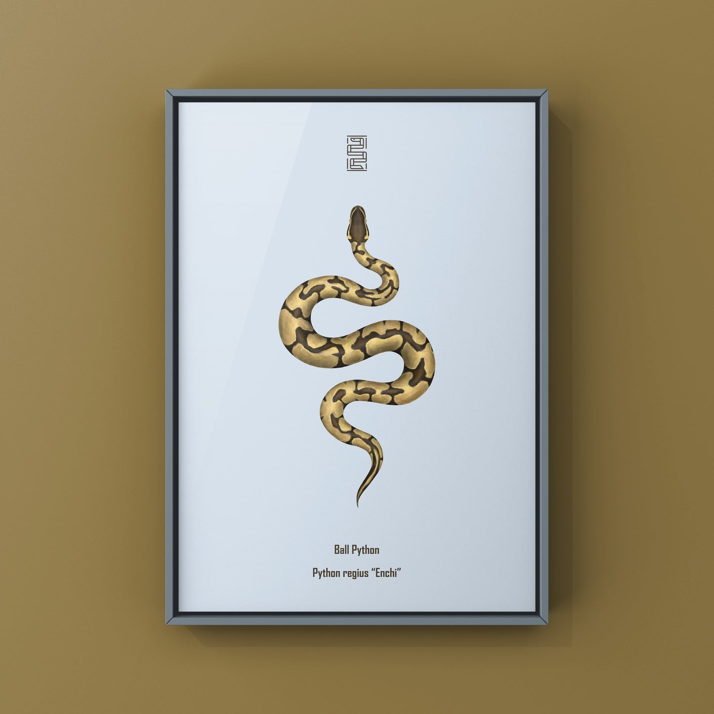 Enchi Ball Python Art Print from The Silk Ranch