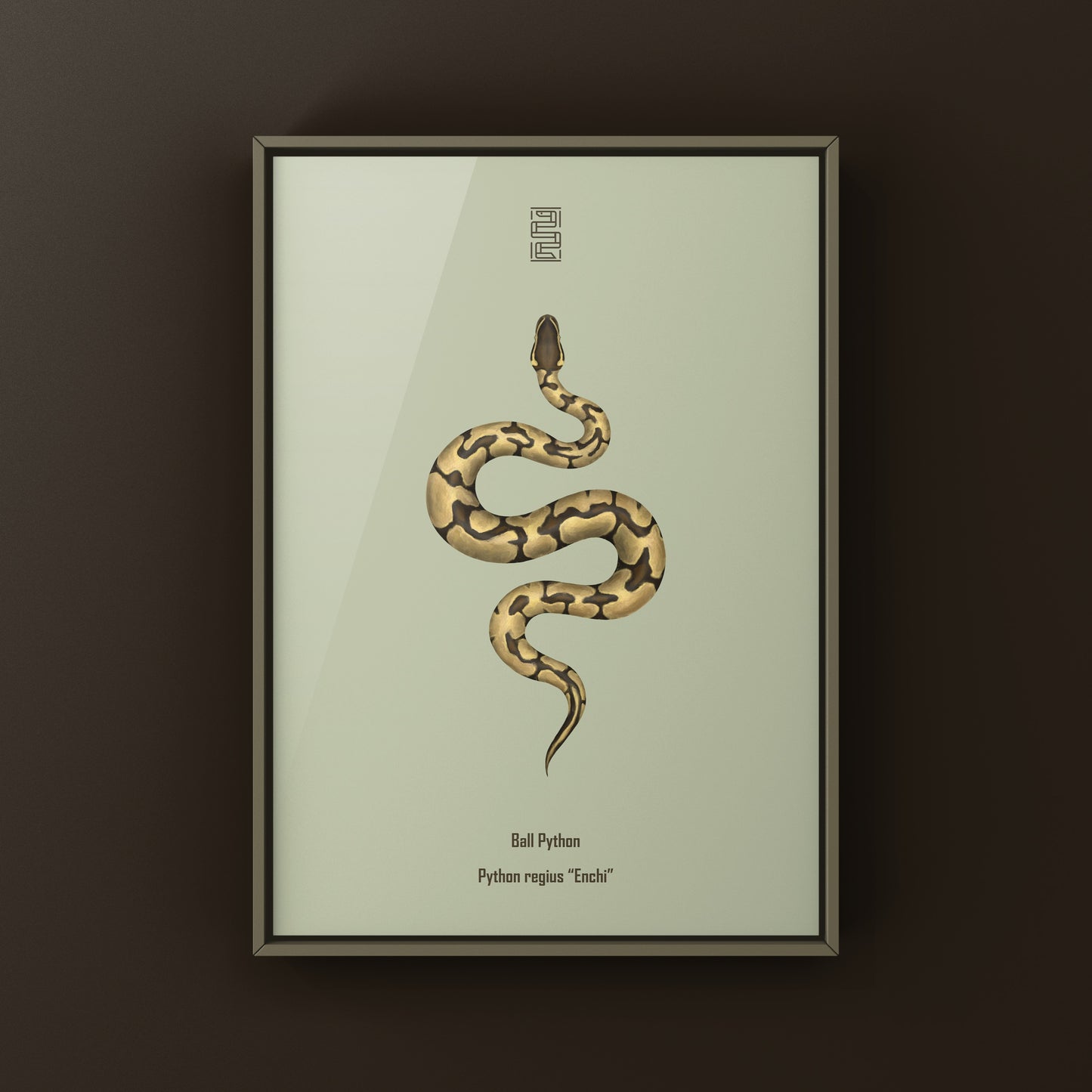 Enchi Ball Python Art Print from The Silk Ranch
