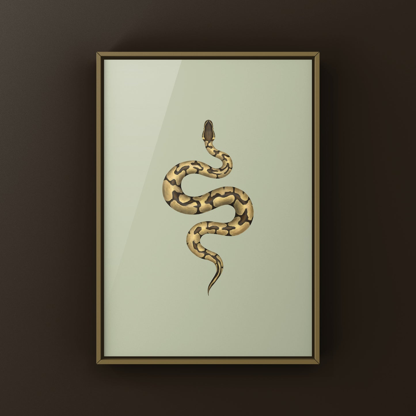 Enchi Ball Python Art Print from The Silk Ranch