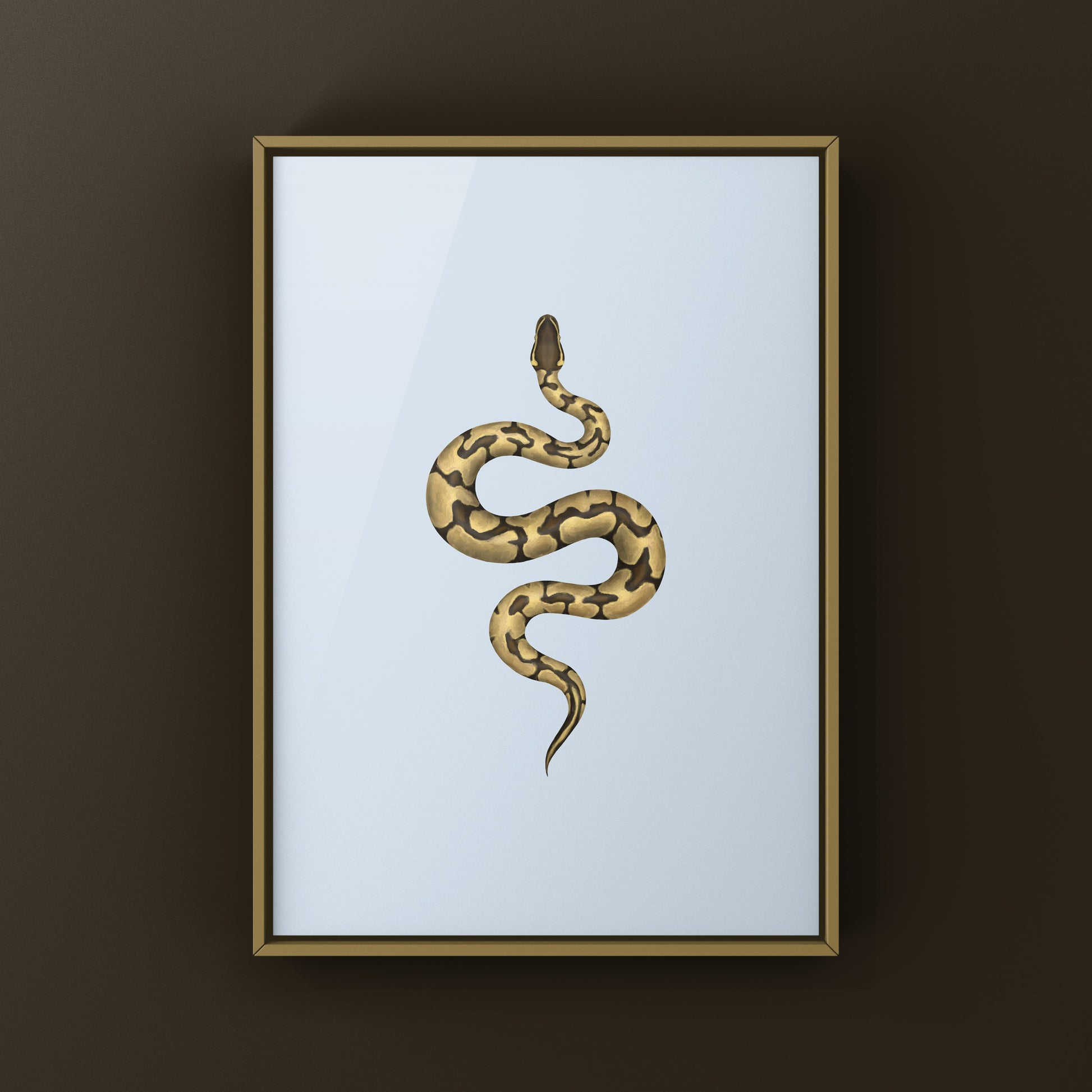 Enchi Ball Python Art Print from The Silk Ranch