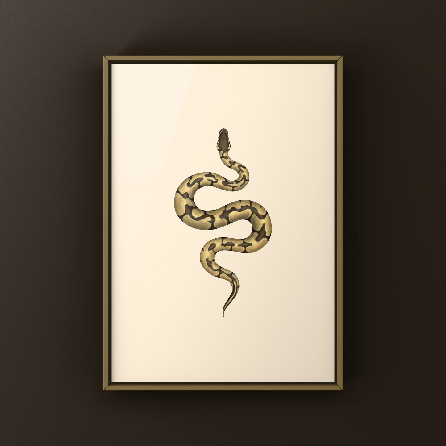 Enchi Ball Python Art Print from The Silk Ranch