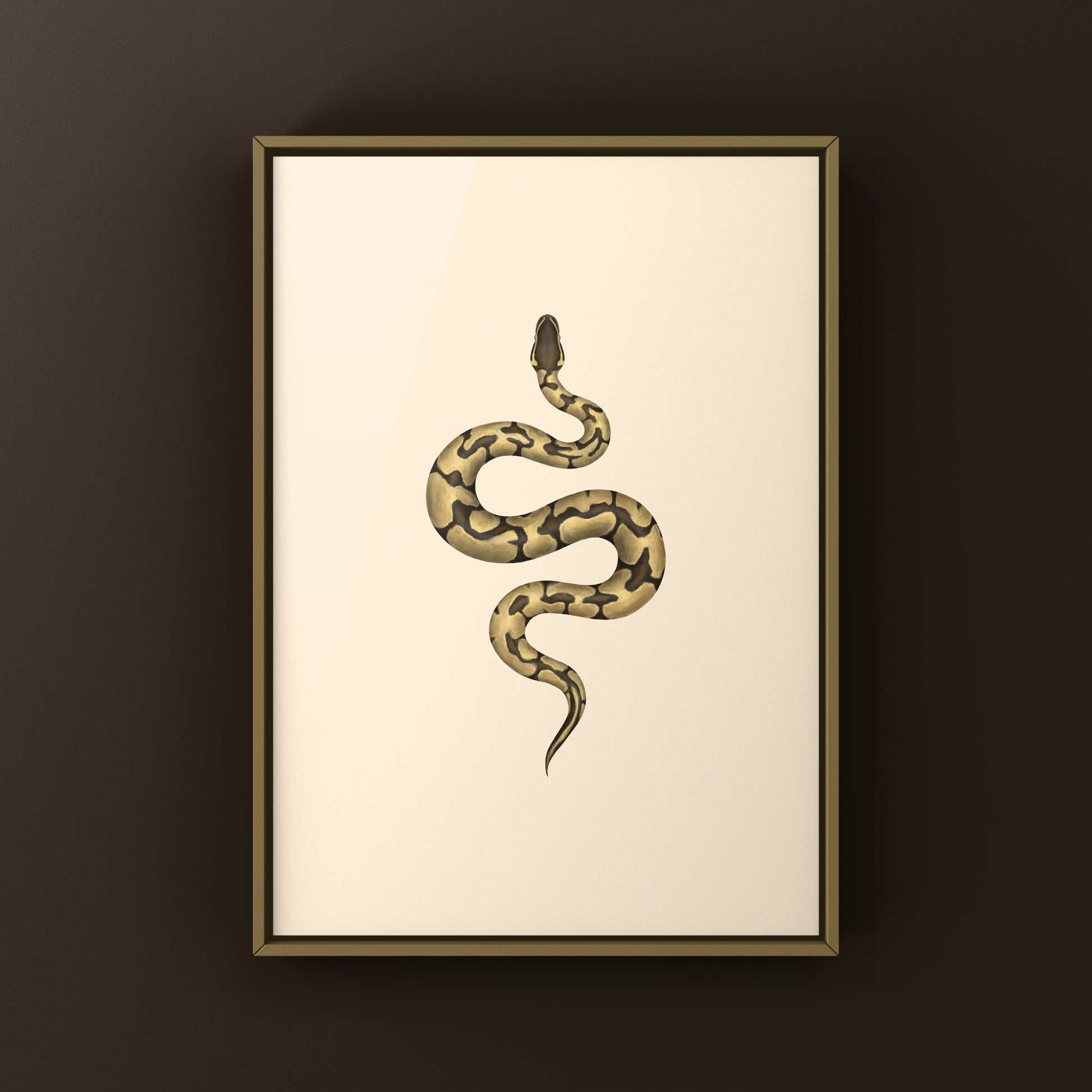 Enchi Ball Python Art Print from The Silk Ranch