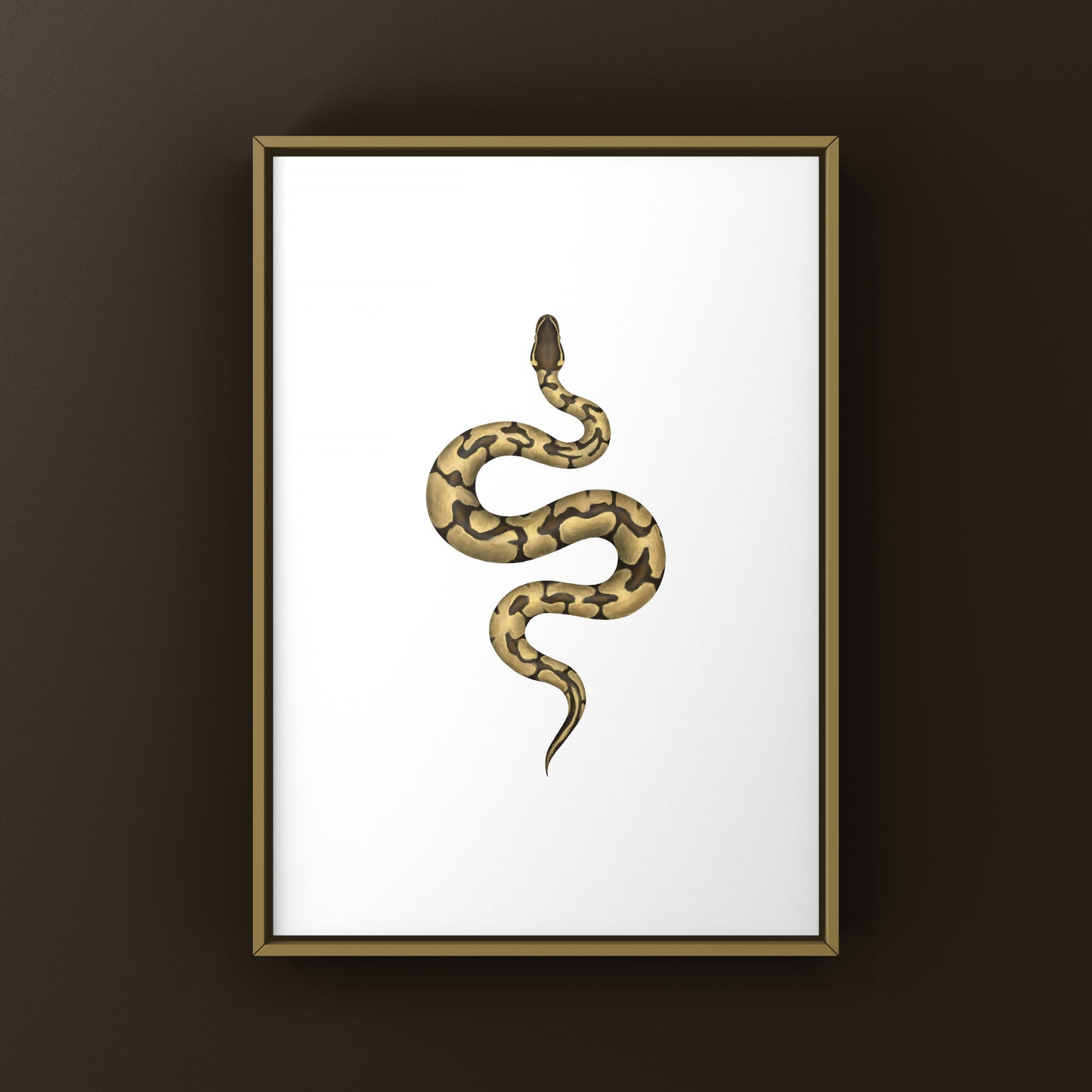 Enchi Ball Python Art Print from The Silk Ranch