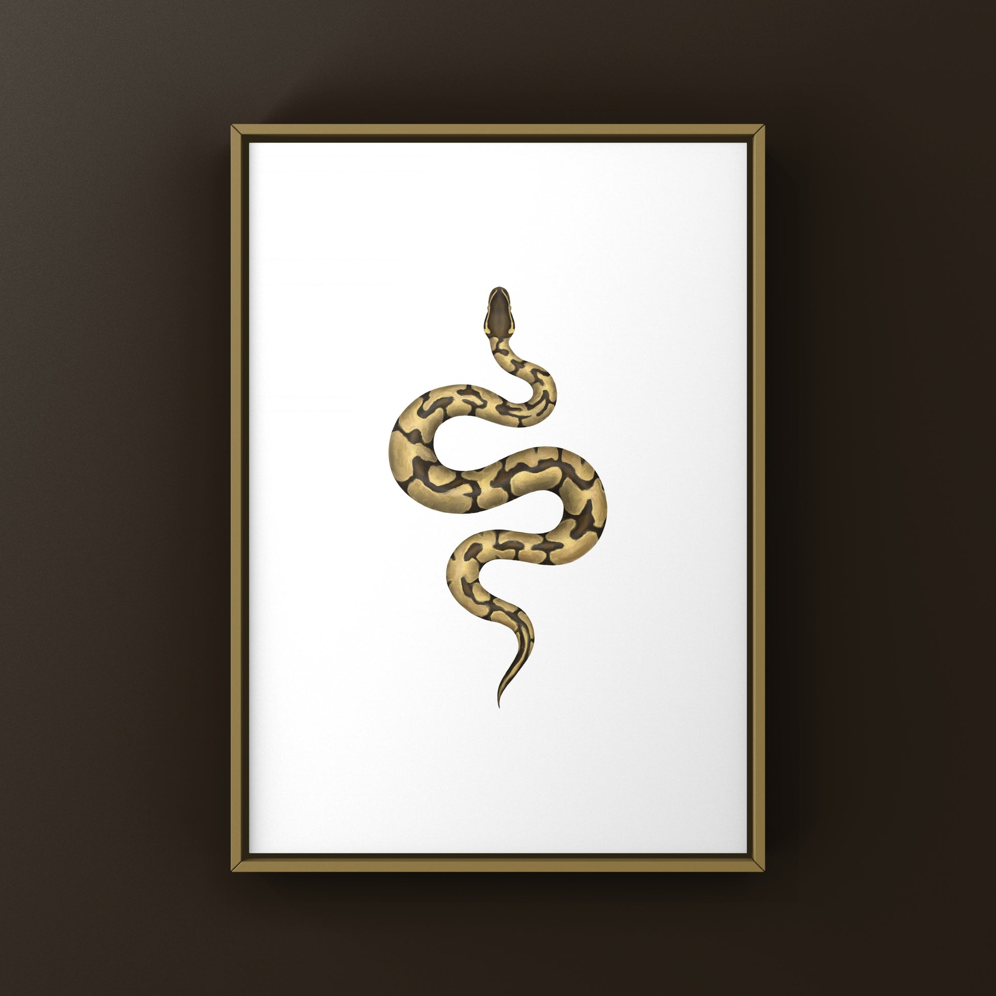 Enchi Ball Python Art Print from The Silk Ranch