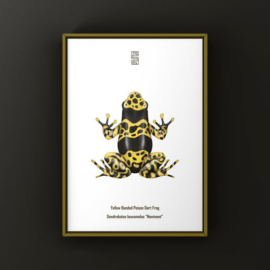 Nominant Yellow Banded Poison Dart Frog (Dendrobates leucomelas) Photographic Art Print from The Silk Ranch