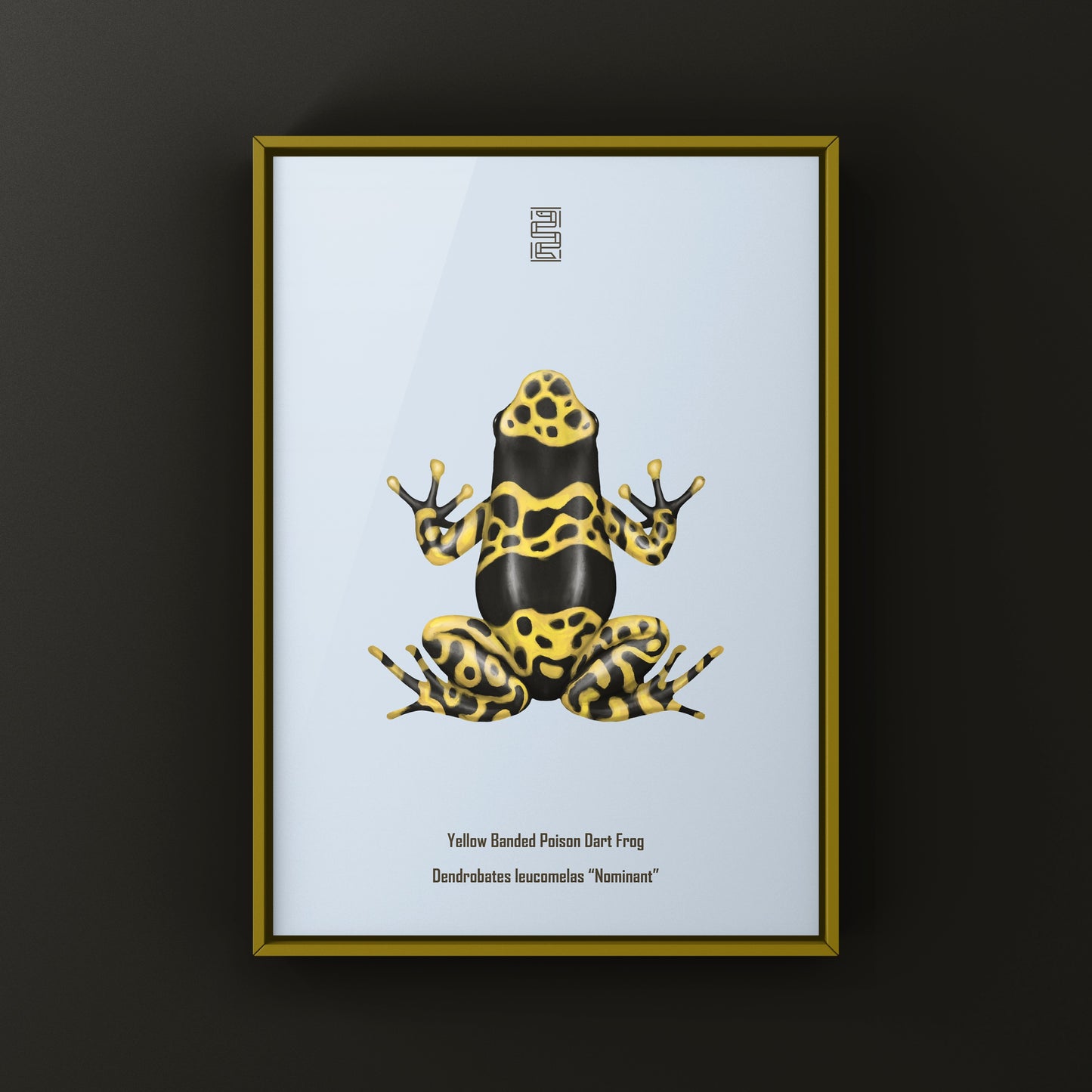 Nominant Yellow Banded Poison Dart Frog (Dendrobates leucomelas) Photographic Art Print from The Silk Ranch