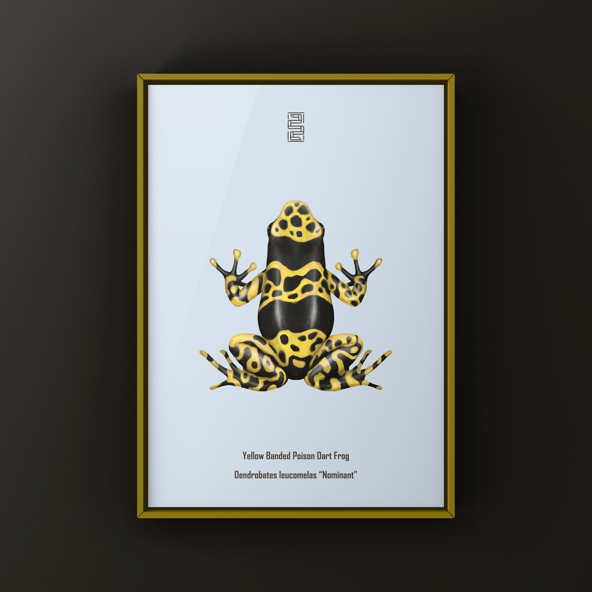 Nominant Yellow Banded Poison Dart Frog (Dendrobates leucomelas) Photographic Art Print from The Silk Ranch