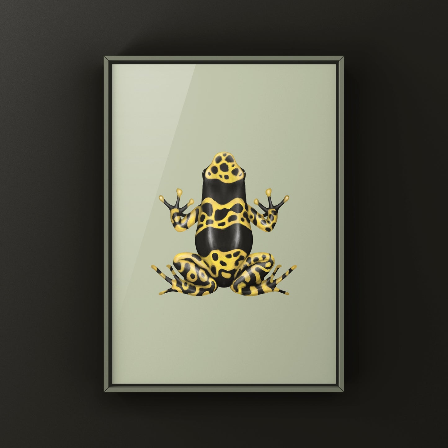 Nominant Yellow Banded Poison Dart Frog (Dendrobates leucomelas) Photographic Art Print from The Silk Ranch