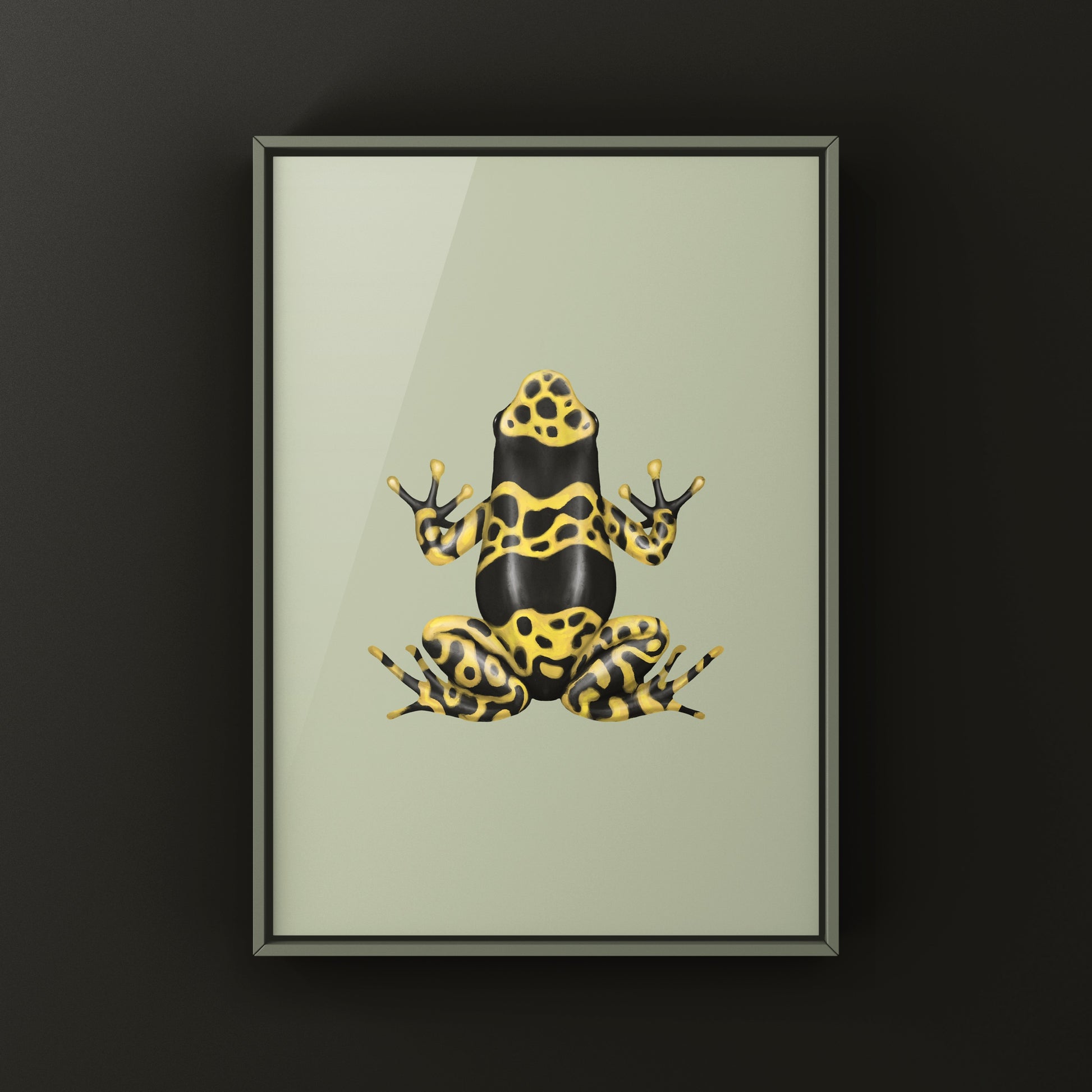 Nominant Yellow Banded Poison Dart Frog (Dendrobates leucomelas) Photographic Art Print from The Silk Ranch