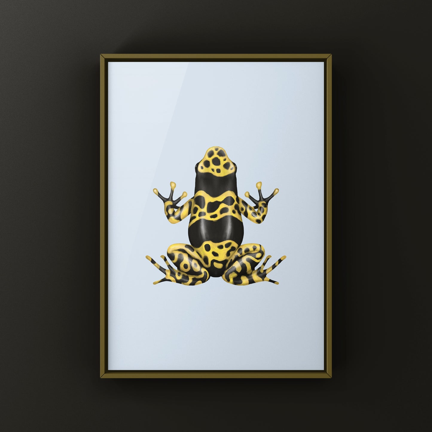 Nominant Yellow Banded Poison Dart Frog (Dendrobates leucomelas) Photographic Art Print from The Silk Ranch