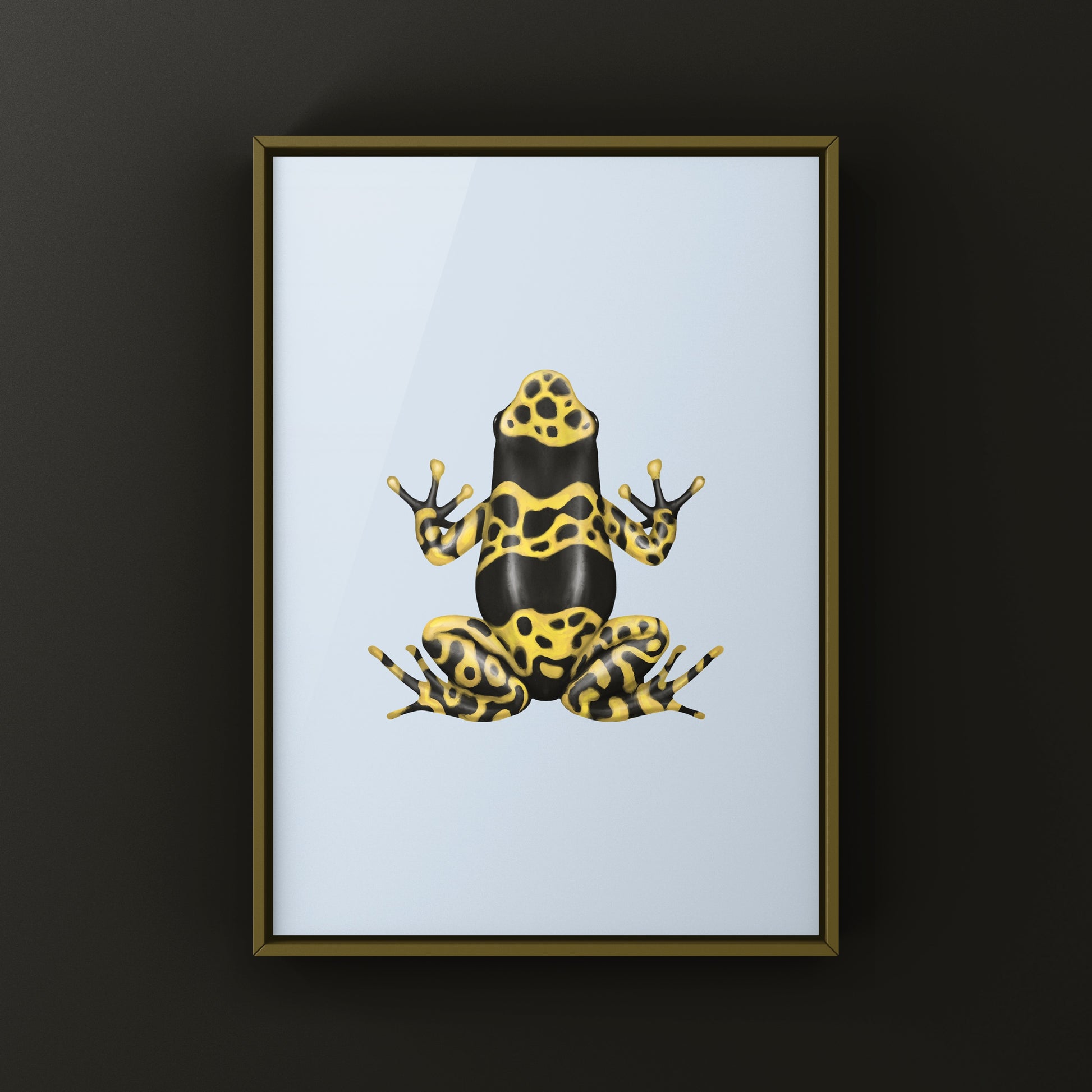 Nominant Yellow Banded Poison Dart Frog (Dendrobates leucomelas) Photographic Art Print from The Silk Ranch